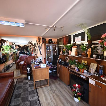 Pensiunea Dealul Viilor Дева Екстериор снимка